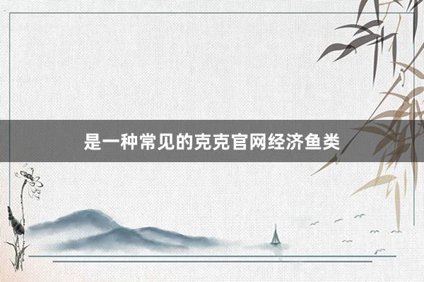 是一种常见的克克官网经济鱼类